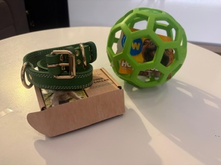 ELEGANCKA ZIELONA OBROŻA DLA PSA + ZABAWKA