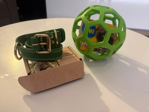 ELEGANCKA ZIELONA OBROŻA DLA PSA + ZABAWKA