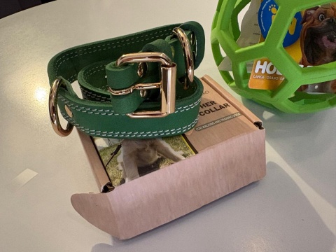 ELEGANCKA ZIELONA OBROŻA DLA PSA + ZABAWKA