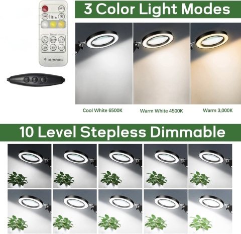 ZABOUL LAMPA LED ZE SZKŁEM POWIĘKSZAJĄCYM 10X PORZĄDNA