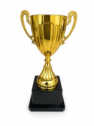PUCHAR ZŁOTY PIŁKARSKI 20 cm x 8 cm WĘDKARSKI MISTRZOSTWO ŚWIATA DLA DZIECI