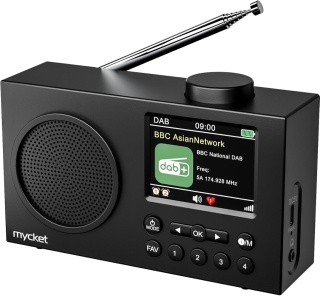 Przenośne Radio DAB DAB+ FM Bluetooth Cyfrowe Kolor Wyświetlacz 2,4 Budzik