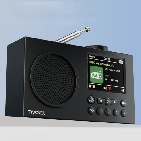 Przenośne Radio DAB DAB+ FM Bluetooth Cyfrowe Kolor Wyświetlacz 2,4 Budzik