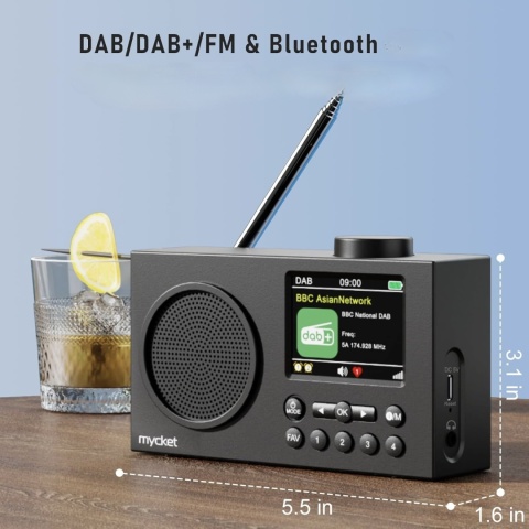 Przenośne Radio DAB DAB+ FM Bluetooth Cyfrowe Kolor Wyświetlacz 2,4 Budzik