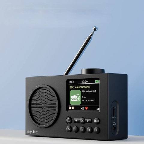 Przenośne Radio DAB DAB+ FM Bluetooth Cyfrowe Kolor Wyświetlacz 2,4 Budzik