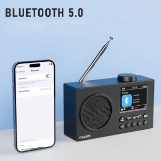 Przenośne Radio DAB DAB+ FM Bluetooth Cyfrowy Kolor Wyświetlacz 2,4 Budzik