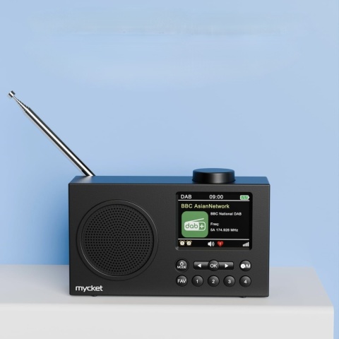 Przenośne Radio DAB DAB+ FM Bluetooth Cyfrowy Kolor Wyświetlacz 2,4 Budzik